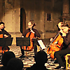 projects4cellos bei ihrem Konzert in der Kulturkirche St. Jakobi in Stralsund 2023 (Foto: Archiv)
