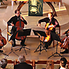 Die Vier EvangCellisten bei ihrem Konzert in der Schinkel-Simultan-Kirche in Althaldensleben 2014 (Foto: Archiv)